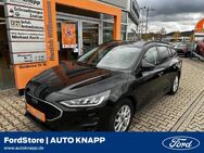 Ford Focus, 1.0 Cool&Connect EcoBoost WinterPaket, Jahr 2022 - Weinheim
