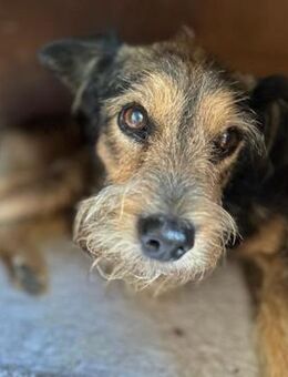 ❤️ BERCI braucht ein großes Herz ❤️ - Mamming