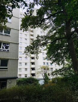 7 Traumwohnungen über den Dächern von Münster - Münster