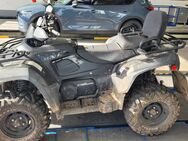 Quad TGB Blade1000LT EFI 4X4 lof - Vaihingen (Enz)