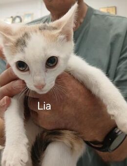 Lia, kleine Maus mit großem Herz! - Bergkirchen