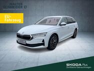 Skoda Octavia, 1.5 Combi eTSI Selection, Jahr 2024 - Siegen (Universitätsstadt)