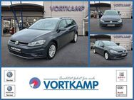 VW Golf Variant Trendline AHK Klima - Gronau (Westfalen) Zentrum