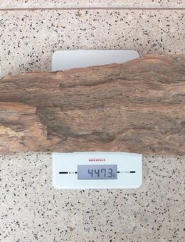 Versteinertes Holz, ca.35 x 8 x 12 cm - Düsseldorf