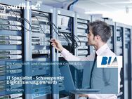 IT Spezialist - Schwerpunkt Digitalisierung (m/w/d) - Solingen (Klingenstadt)