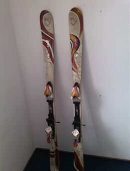 alpin Skier 149 cm Ski Schi - Traunstein Zentrum