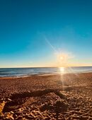 Ferienwohnung zu vermieten: La Mata / Alicante / Costa Blanca Spanien in 58452