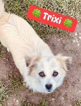 ❤️Trixi ❤️ - Markkleeberg