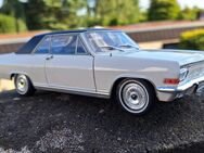 1:24 OPEL Modellautos--Corsa--Diplomat--Kapitän--Omega--Manta - Meckenheim