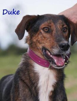 Duke seelischer Notfall !!! 2/21 GRC - Ruppertsecken