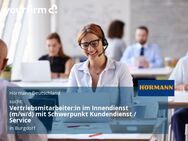 Vertriebsmitarbeiter:in im Innendienst (m/w/d) mit Schwerpunkt Kundendienst / Service - Burgdorf (Landkreis Region Hannover)
