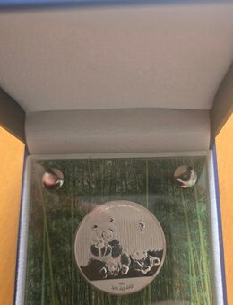Silbermünze Giant Panda 1OZ 2016 - Münster (Hessen)