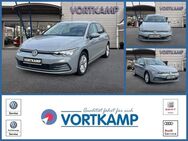 VW Golf, 1.5 TSI VIII, Jahr 2020 - Gronau (Westfalen)