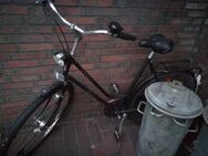 Fahrrad / 26 Zoll - Wardenburg