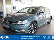 VW Golf, 1.5 TSI 7 IQ DRIVE, Jahr 2019 - Blomberg (Nordrhein-Westfalen)