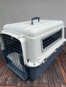 Hundebox Größe M - Dortmund