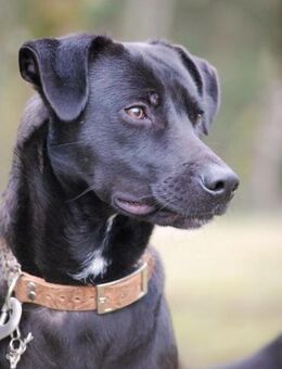 ED sucht Zuwendung bei Erfahrenen - Reisbach