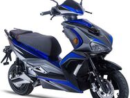 GT UNION E-Motorroller e-Striker 45, 45 km/h, Bosch-Motor