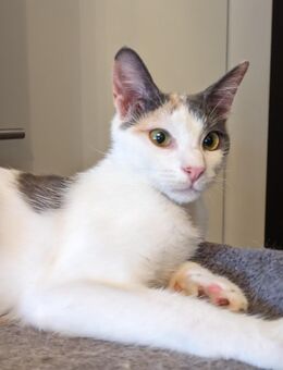 Kätzin Malies - München Schwabing-West