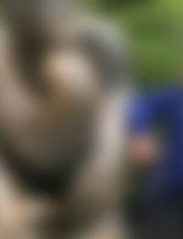 Jak*** - Nördlingen