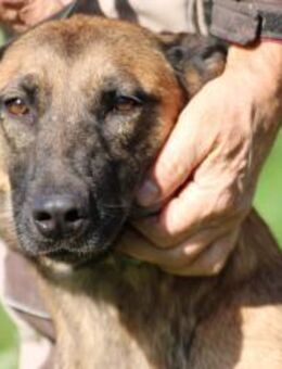 Lalina - sehr kinderlieb u. aufgeweckt - Lohra