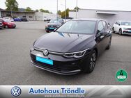 VW Golf, 2.0 TDI VIII Move, Jahr 2024 - Schopfheim