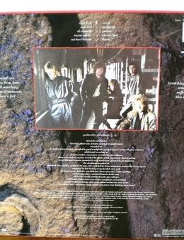 Glass Tiger-Diamond Sun-Vinyl-LP,1988 - Linnich