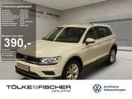 VW Tiguan, 1.5 TSI Highline DynLicht, Jahr 2019 - Krefeld
