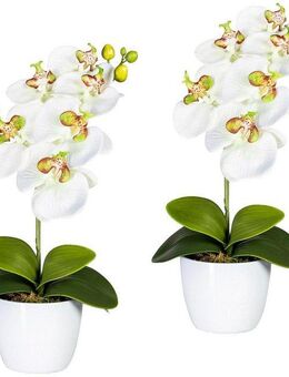 Kunstpflanze Orchidee Phalaenopsis Orchidee, Creativ green, Höhe 40 cm, im Keramiktopf