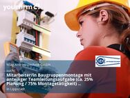 Mitarbeiter/in Baugruppenmontage mit anteiliger Teamleitungsaufgabe (ca. 25% Planung / 75% Montagetätigkeit) (m/w/d) - Lippstadt