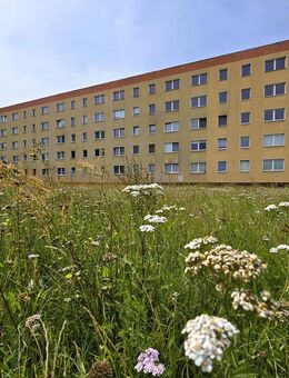 Neu renovierte 3-Raumwohnung mit Balkon - Sandersdorf Sandersdorf