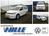 VW Caddy, 1.5 TSI Maxi Basis, Jahr 2024 - Wernigerode