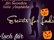 High Class Escort Kavalier für die solvente Dame - Stuttgart