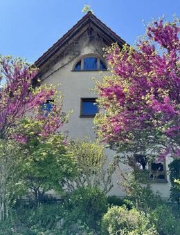 Großzügiges Einfamilienhaus in Lampertheim - Lampertheim