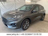 Ford Kuga Hybrid ST-Line LED+ Navi 18" Pano DigTacho - Steinbach-Hallenberg