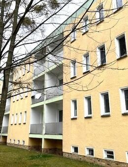 Renoviertes Single-Appartement am Stadtrand gesucht? - Wittenberg (Lutherstadt)