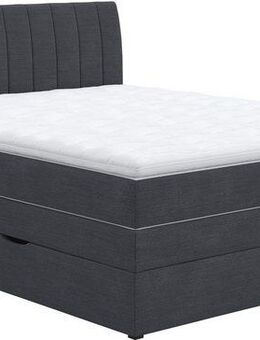 COTTA Boxspringbett Shark inkl. Bettkasten und Topper, erhältlich in den Breiten 140x200cm, 160x200cm und 180x200cm