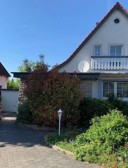 Charmantes Einfamilienhaus in beliebter Lage - Helmstedt