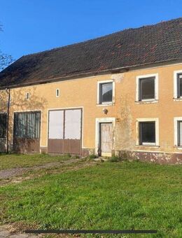 Freistehendes Bauernhaus mit GROSSEM Grundstück - Wadern