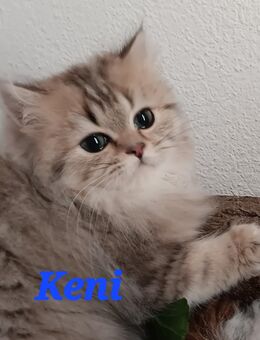 BLH Geschwister - Suhl