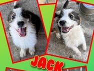 Lustiger Jack wartet aufs Happyend! - Nürnberg