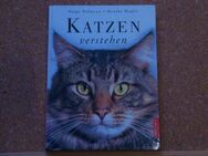 Katzen verstehen ISBN 3-572-01398-4 - Soest