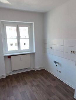 Nachmieter gesucht! - Brandenburg (Havel)