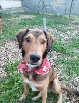 Loco - liebenswert und sozial - Heppenheim (Bergstraße)