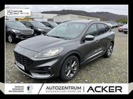 Ford Kuga, 2.0 EcoBlue ST-Line X PanoDach, Jahr 2021 - Bad Berleburg