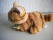 Bob der Bär-Plüsch-Kätzchen,ca. 22 cm - Linnich