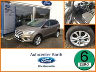 Ford Kuga, 1.5 EcoBoost Titanium, Jahr 2019 - Grimmen