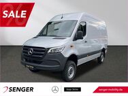 Mercedes Sprinter, 319 KA L2H2, Jahr 2024 - Herford (Hansestadt)