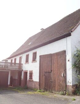 Sanierungsbedürftiges 1-Familienhaus mit großzügigem Scheunengebäude und Stall - Schönbrunn