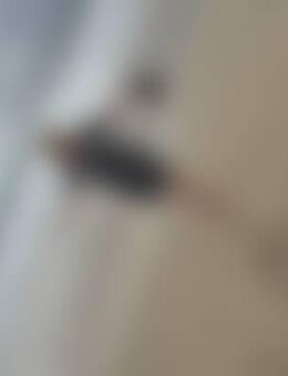 Ilo*** - Neu Wulmstorf